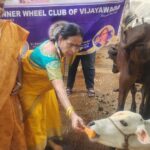 Generous Donation to Kapila Breed Cows and Calves